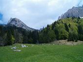 36° Il passo Olona (Zona Rif. Olmo)